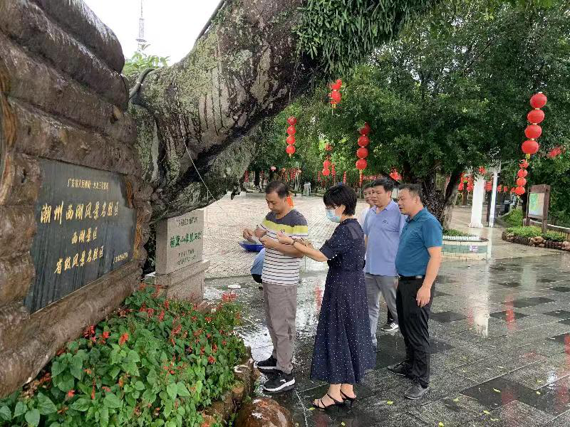 潮州古树名木有了崭新的“身份证”