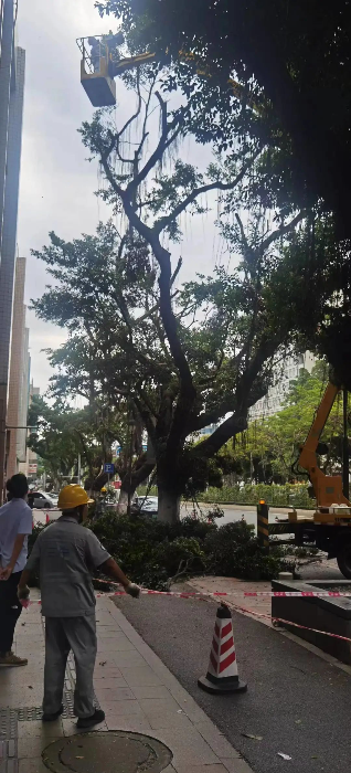已编辑图片