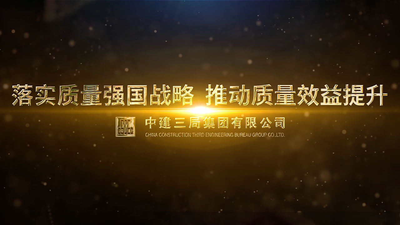 公司及项目简介