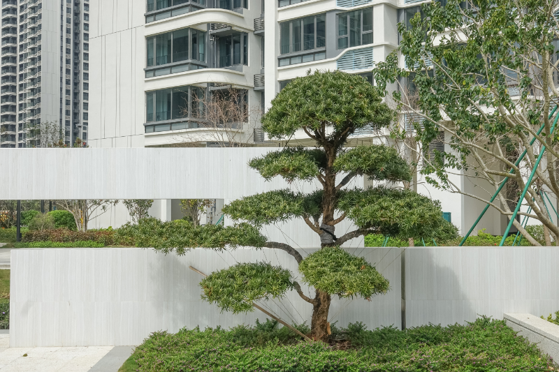 13 “澳门新街坊”小区环境.jpg
