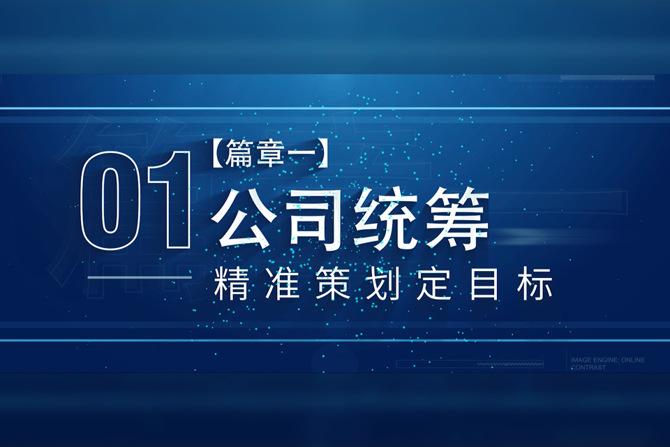 1.企业及项目介绍